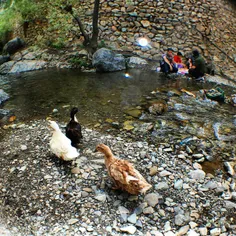 #dailytehran #goodmorning #brickfast #life #river #rivers