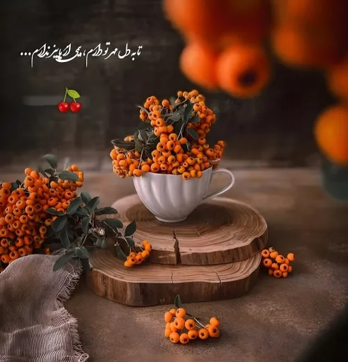 عکس نوشته