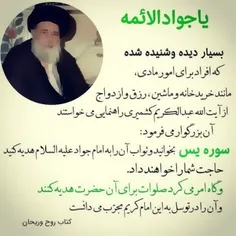 یا جواد الائمه ادرکنی