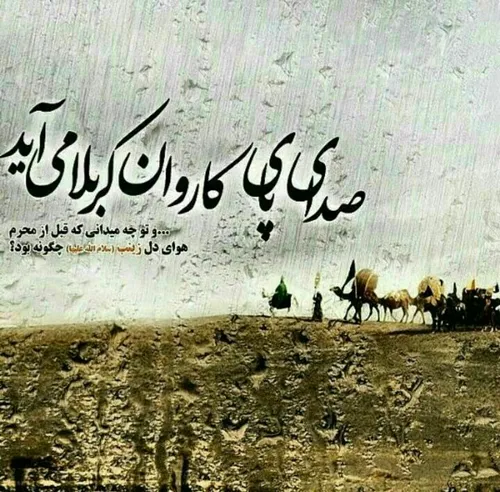 از آن خوشم که شدم نوکر سرای حسین