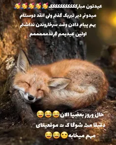 عیدتون خیلی مبارکهههههههه🥳🥳🥳🥳🥳🥳🥳🥳🥳🥳🥳🥳🥳