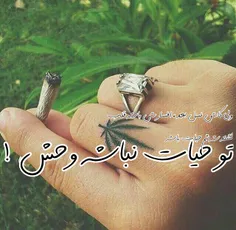 تو حیات نباشه وحش🌿🕷️