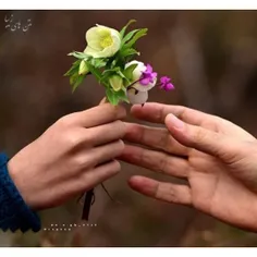 #عاشقانه_های_من