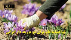 اعطای گواهینامه رسمی میراث کشاورزی به دو مزرعه ایرانی توس