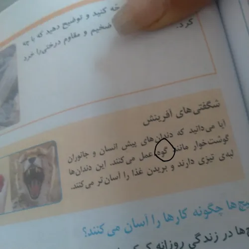 کتاب مطالعات من =خخخخخ