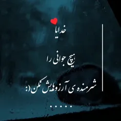 شرمنده نکن❣️