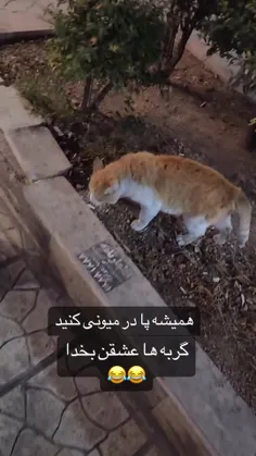 عباااااااااس نکن قاتل میشی 😂😂