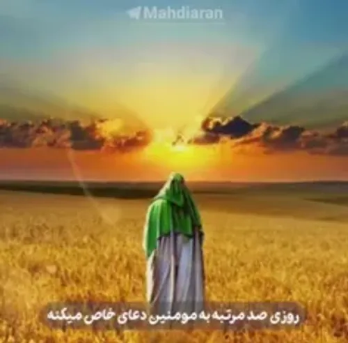 امام زمان (عج) روزی صد مرتبه برای مومنین دعا میکند ..😪❤️💜