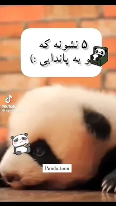 پاندا ها اعلام حضور کنن🤚😅