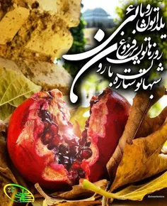 مذهبی siratalnabi87 22063196