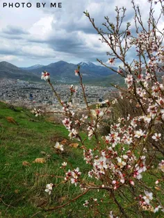 (🌉دونیا سەیرە 