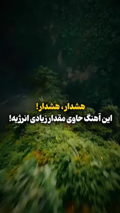 برو بچه پرو 😂