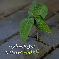 حلال نمی کنم حتی اگه گفتین که