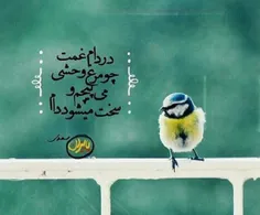 گـاهــــی لـال مـــی شود آدم