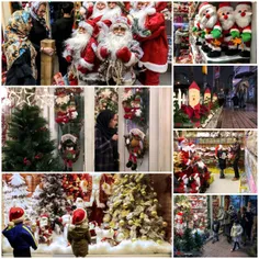 بیش از ۱۸۰۰ درخت کریسمس فقط در تهران فروخته شده است. از د