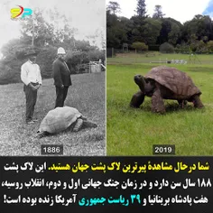 سرش تو لاک خودشه