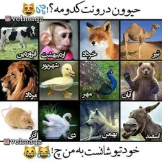 همه بگین ماه های تولدتون رو وگرنه مثه اسفند الاغین😂  😐  