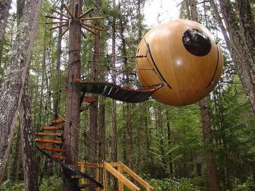 هتلی عجیب و زیبا در جنگل های استوایی با امکانات طبیعی😳
