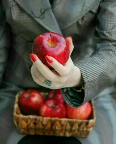 این #سیب را چگونـــــه دهــــــانی نچیده است