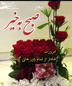 گوناگون vafadar5 16388097