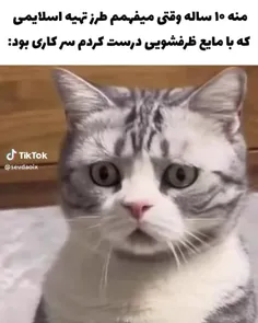 فیسمو بزارم