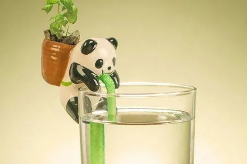 طراحی خلاقانه گلدان،بدون نیاز به آب دادن 😉