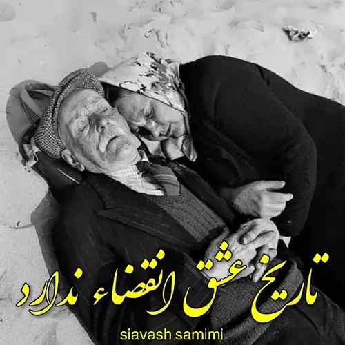 گوناگون siavash.samimi 29974330 - عکس ویسگون