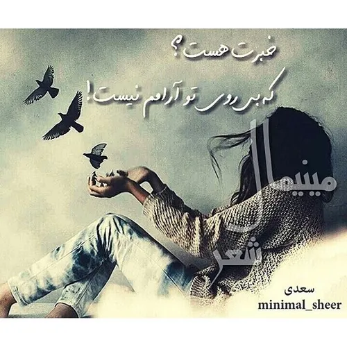 عکس نوشته dialoggraphy 13775866 - عکس ویسگون