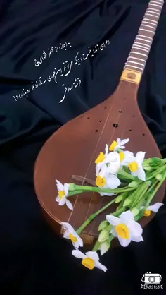 یا تَنگ در آغوش بگیرم که بمیرم