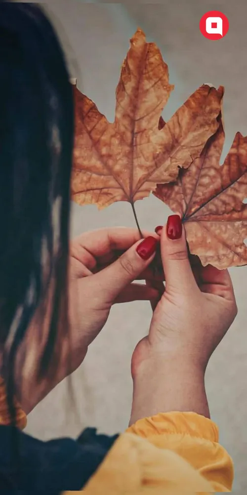 ❤️🍂آن جا را نمی دانم...اما اینجا بی تو،خیابان به خیابان،برگ ...