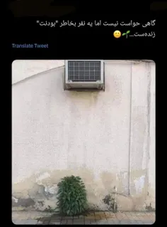 این یکی خیلی خوب بود😂🫴🏻