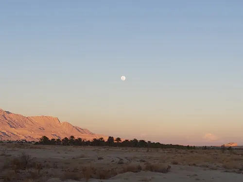 ماه را ببین