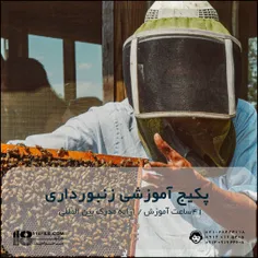معرفی دوره آموزش زنبورداری