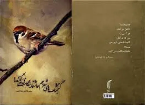 سعید فلاحی