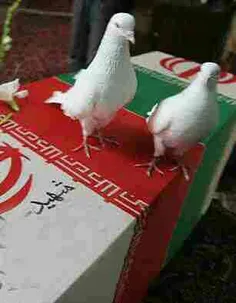 سلام