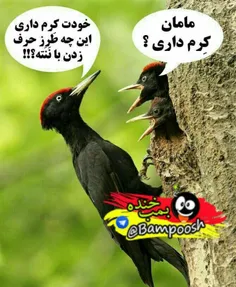 خخخخخخ