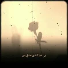 گلوی آدم را ...