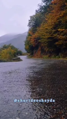 سلام دوستان صبح بخیر