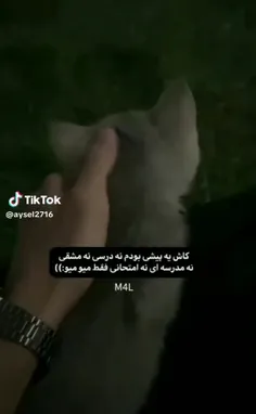 اگه یه پیشی بودم..:)