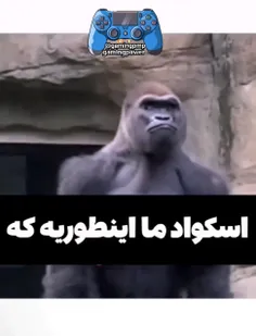 من خودم دومیم😂