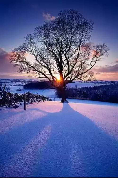 طبیعت زمستان برف زیبا !