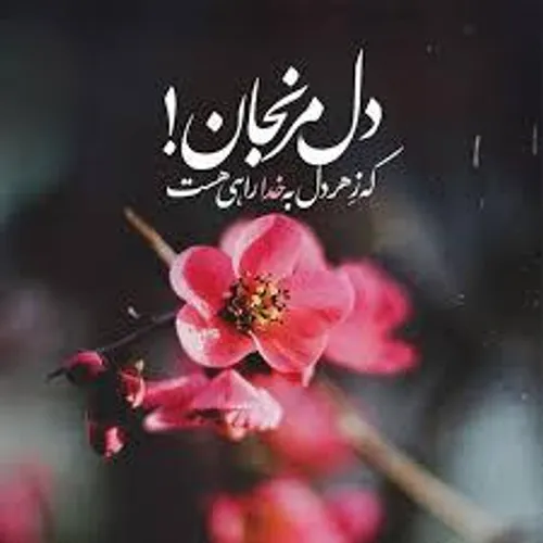 گوناگون zahra3263 35543328 - عکس ویسگون