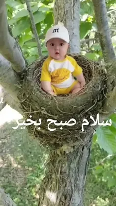 سلام‌ دوستان عزیز 🌸