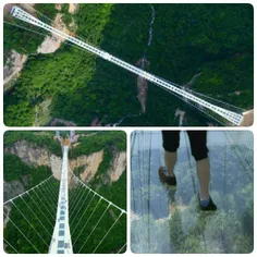 طولانی ترین پل شیشه ای جهان. این پل حدود 400متر بالاتر از