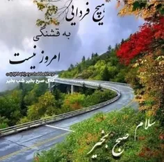 🌸امروز را جانانه زندگی كن 