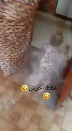 فقط اخرش🤪😆