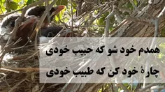 گاهی وقتا فقط خودت حرف خودت رو میفهمی، 