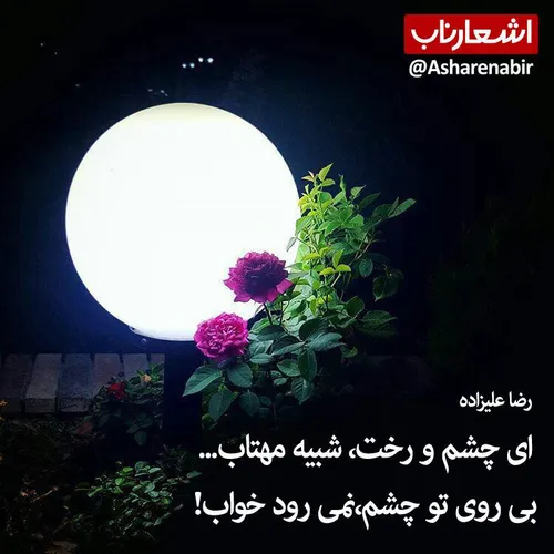 عکس نوشته