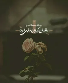 به خاطر یک گل سرخ