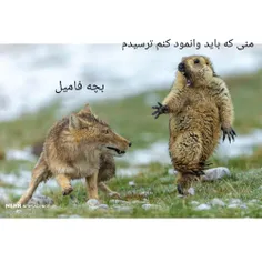 هرکی قبول داره فالو کنه 👋🧃🩹